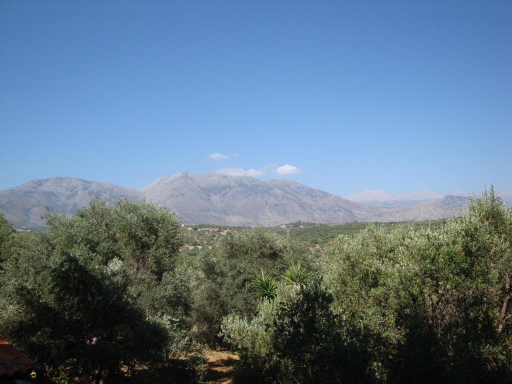 Calamon Apartments Episkopi-Chania Eksteriør billede