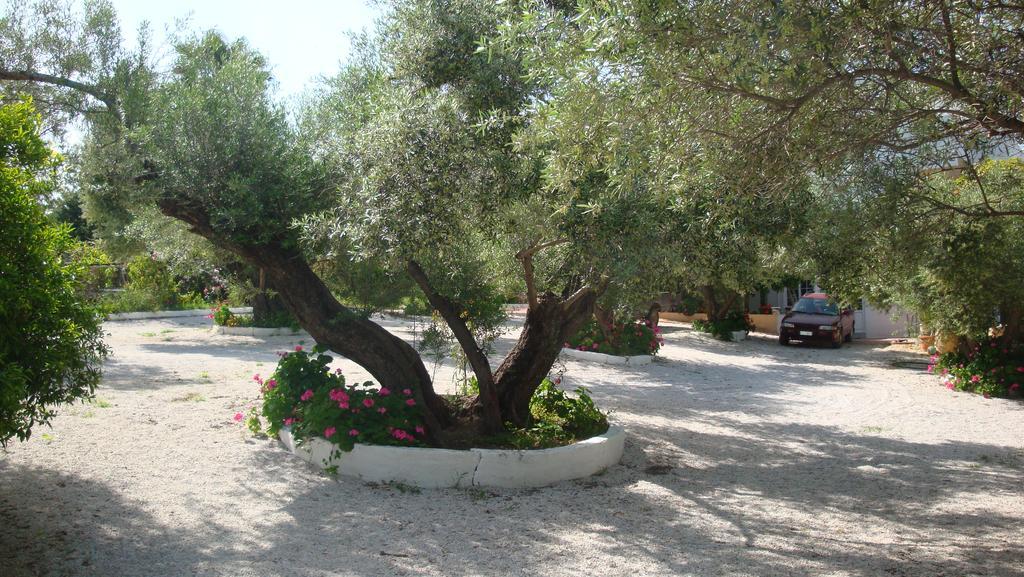 Calamon Apartments Episkopi-Chania Eksteriør billede