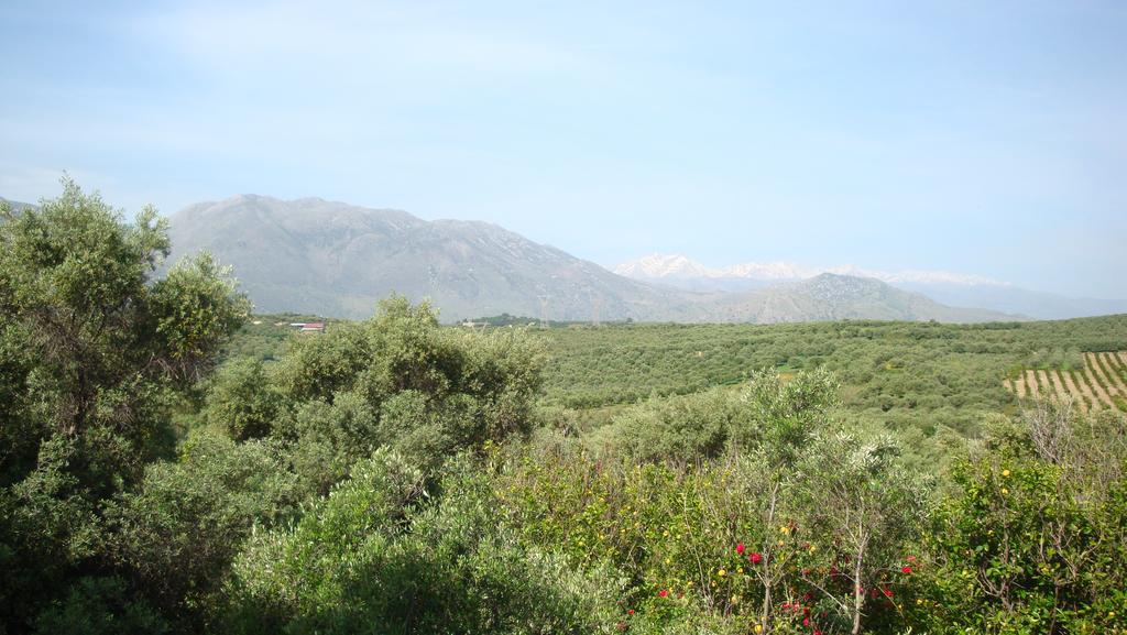 Calamon Apartments Episkopi-Chania Eksteriør billede