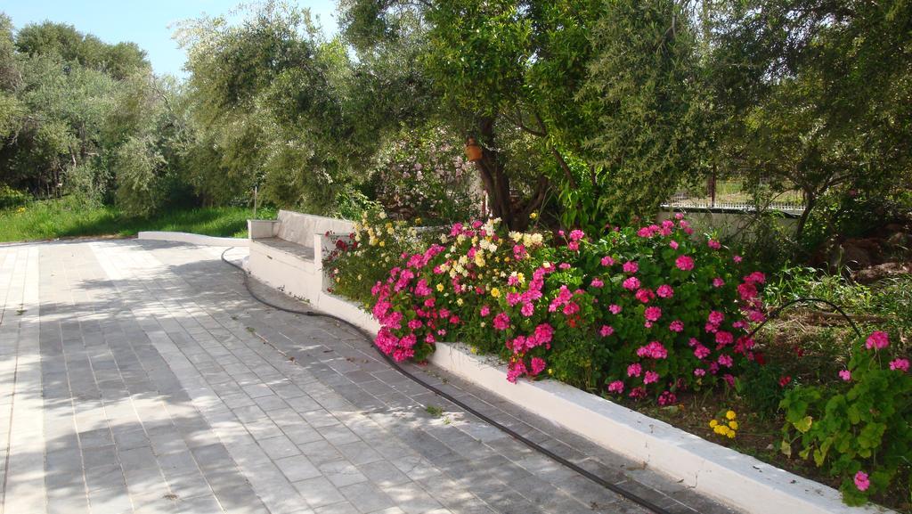 Calamon Apartments Episkopi-Chania Eksteriør billede