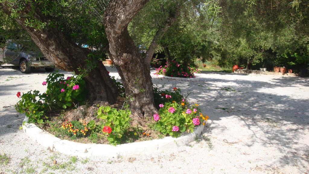Calamon Apartments Episkopi-Chania Eksteriør billede